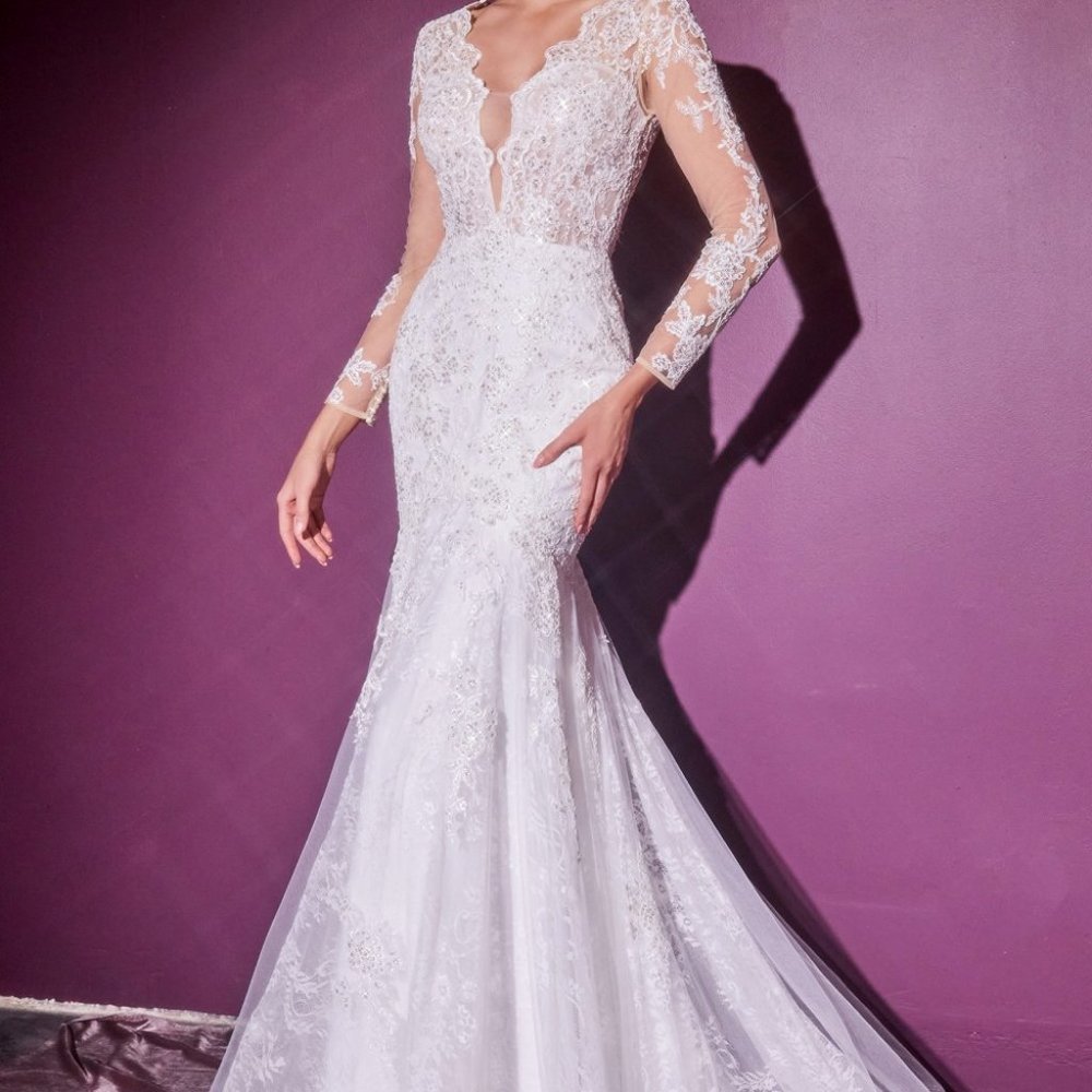 Bridal Wedding Long Sleeves Illusion V-Neck Long Sleeve Wedding Dress CD951W - Picture 3 of 4